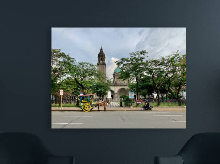 The Manila Cathedral by Jimmy Roy Photos