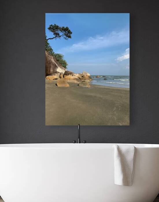 Tree Growing Right by Jimmy Roy Photos