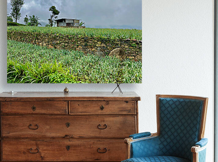 Leveled Field House by Jimmy Roy Photos