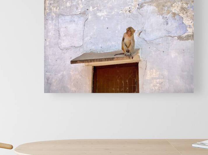 Break Time by Jimmy Roy Photos