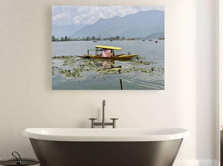 Dal Lake Srinagar 9 by Jimmy Roy Photos