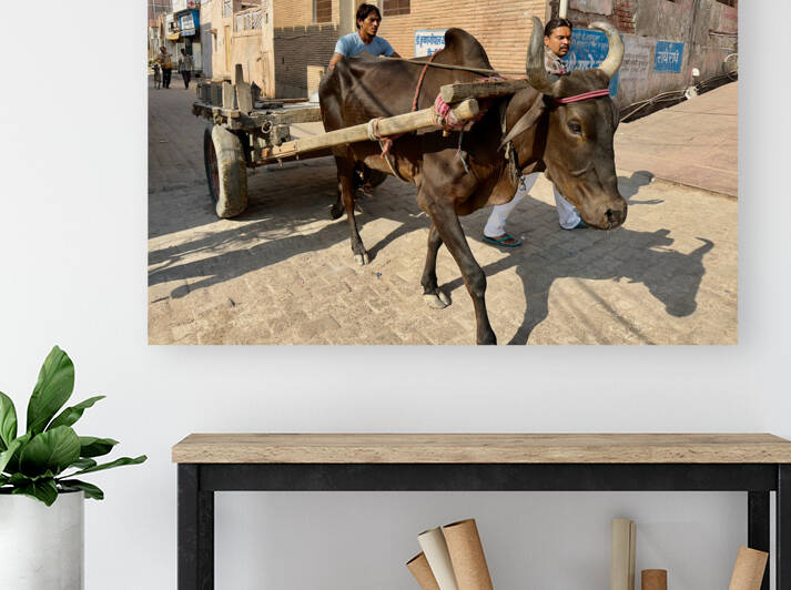 Special Delivery by Jimmy Roy Photos