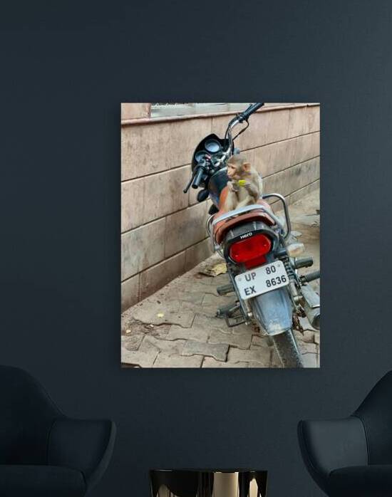 Snack Rider by Jimmy Roy Photos