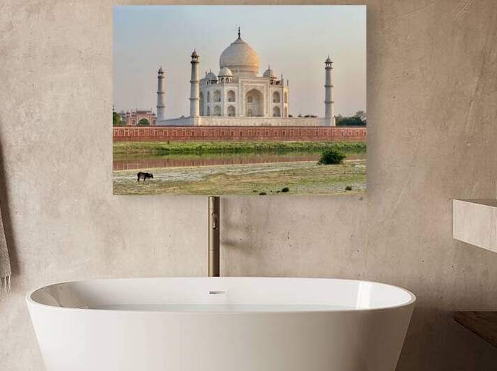 The Taj Mahal Collection 12 by Jimmy Roy Photos