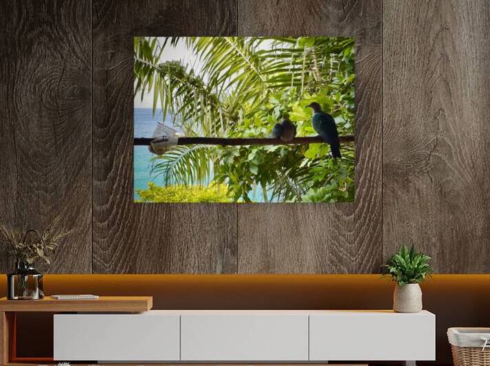 Bird Couple Koh Tao Thailand by Jimmy Roy Photos