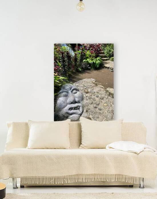 Face in the Ground Munduk Bali by Jimmy Roy Photos