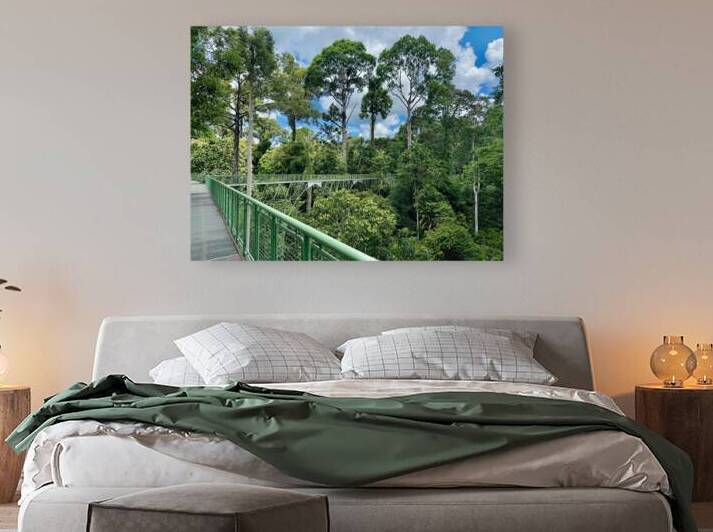 Kabili Sepilok Forest Reserve 2 by Jimmy Roy Photos