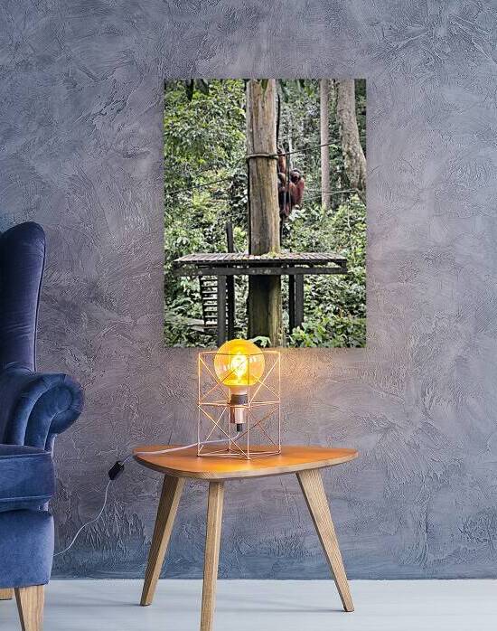 Kabili Sepilok Forest Reserve Orangutans 2 by Jimmy Roy Photos