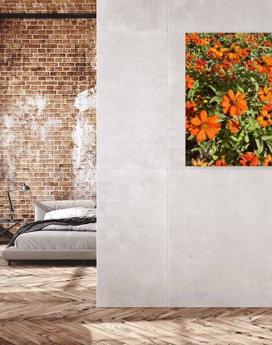 Orange Flowers Seoul South Korea by Jimmy Roy Photos