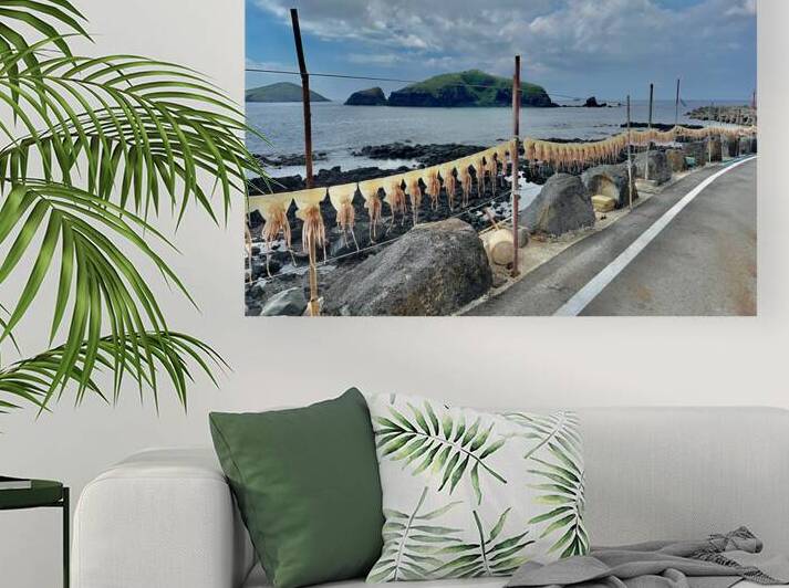 Squids on the Line Jeju South Korea by Jimmy Roy Photos