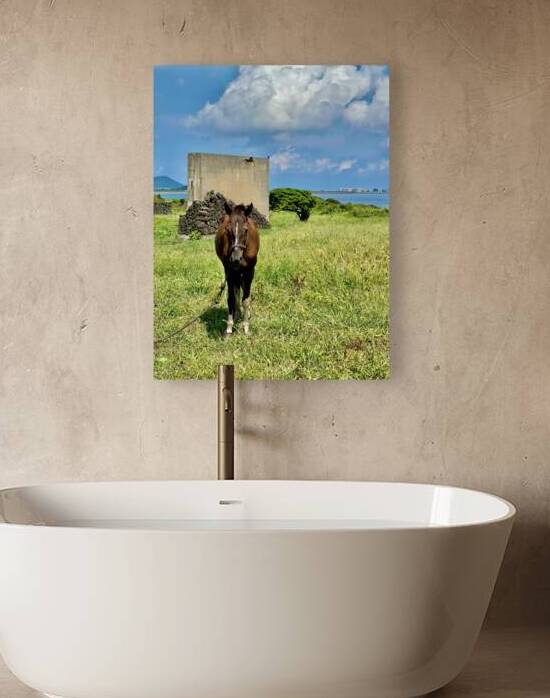 Seopjikoji Jeju South Korea 2 by Jimmy Roy Photos