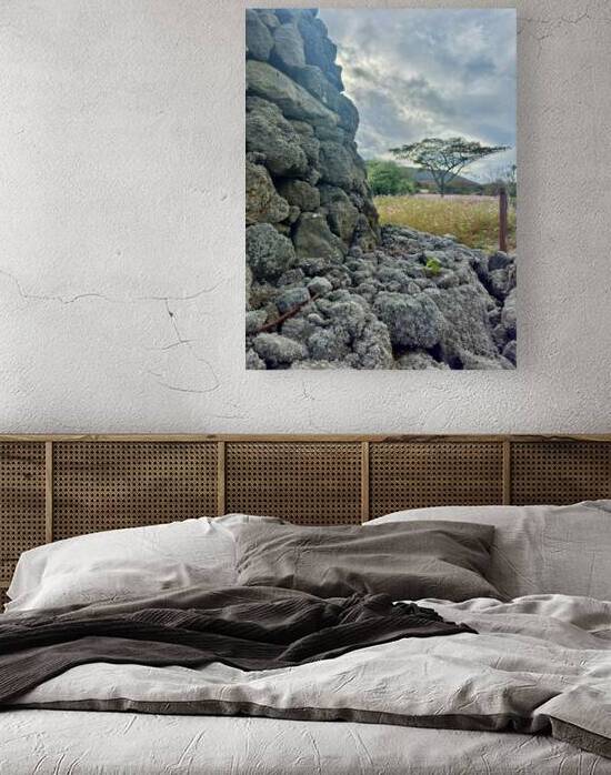 Stone Park Jeju South Korea 7 by Jimmy Roy Photos