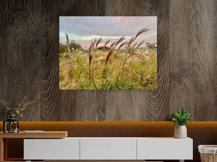 Stone Park Jeju South Korea 10 by Jimmy Roy Photos