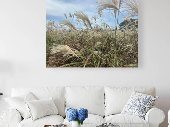 Stone Park Jeju South Korea 1 by Jimmy Roy Photos