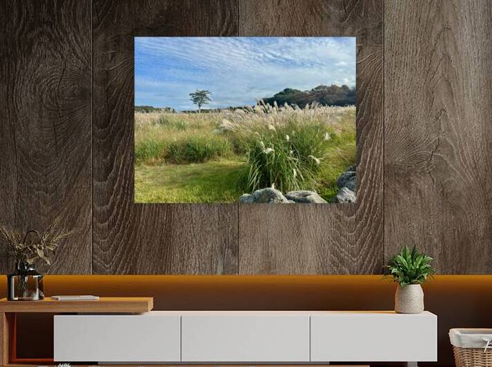 Stone Park Jeju South Korea 2 by Jimmy Roy Photos