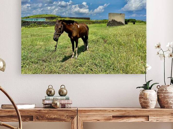 Seopjikoji Jeju South Korea 3 by Jimmy Roy Photos