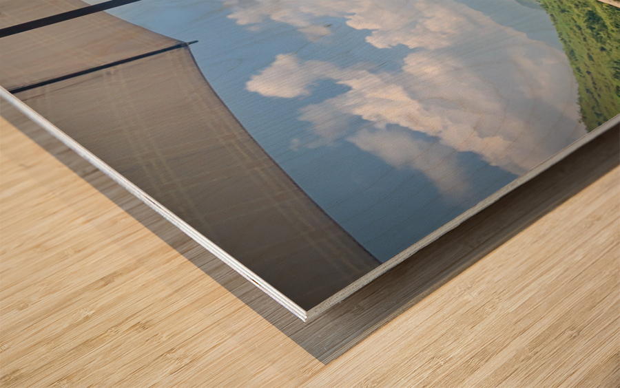 Umbrella Baby Girl Wood print