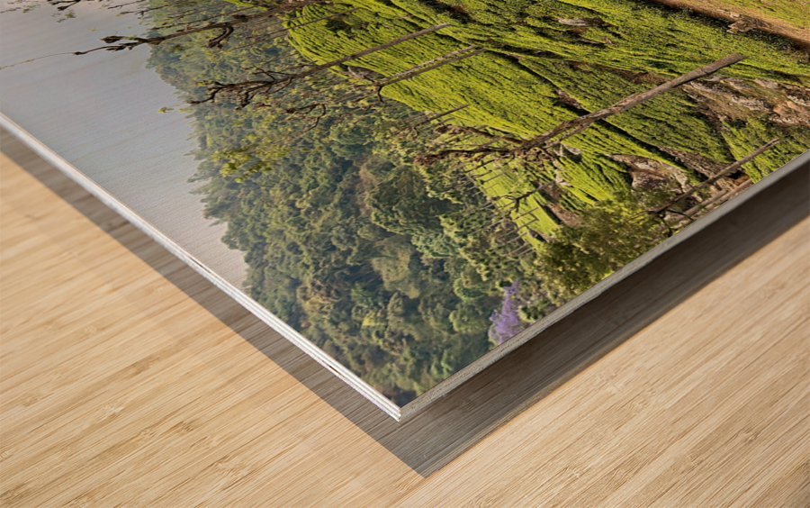 Toy Train Tea Plantations Wood print