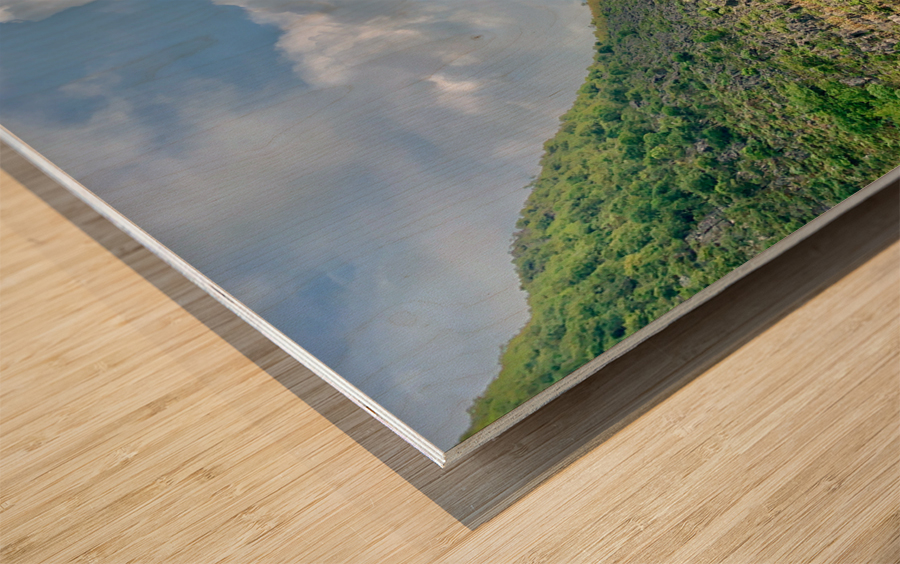 Little Peak House Wood print