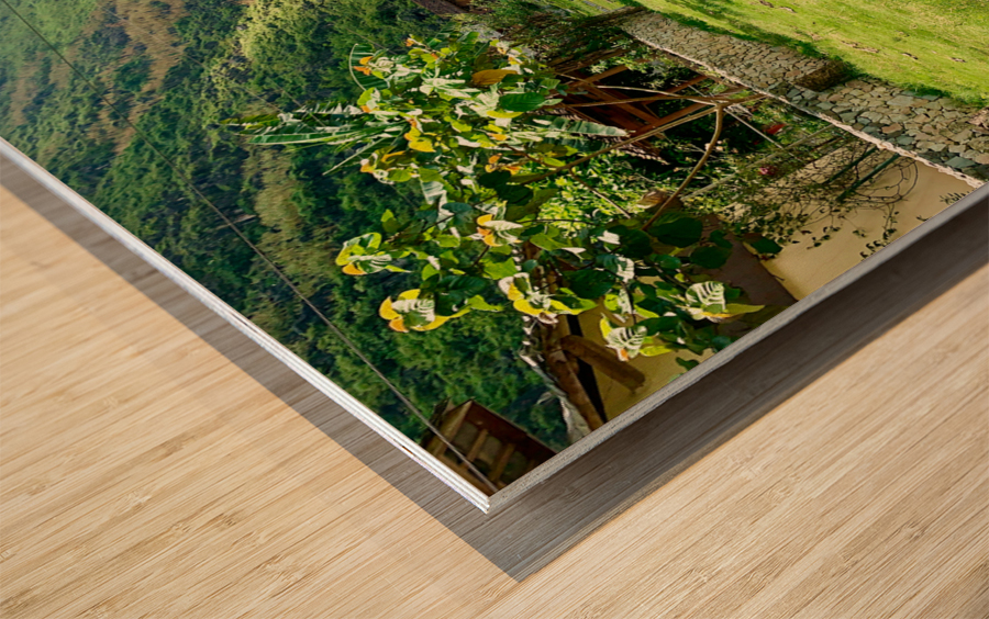 Half trees Wood print