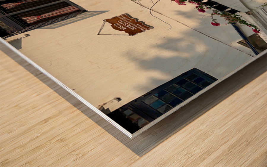 Vasco is not Home Wood print