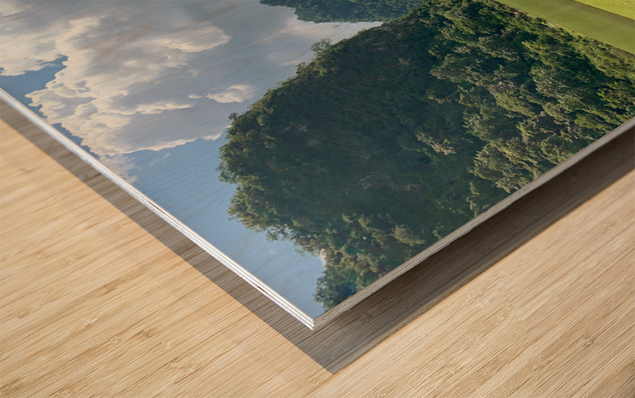 Lonely Horse Wood print