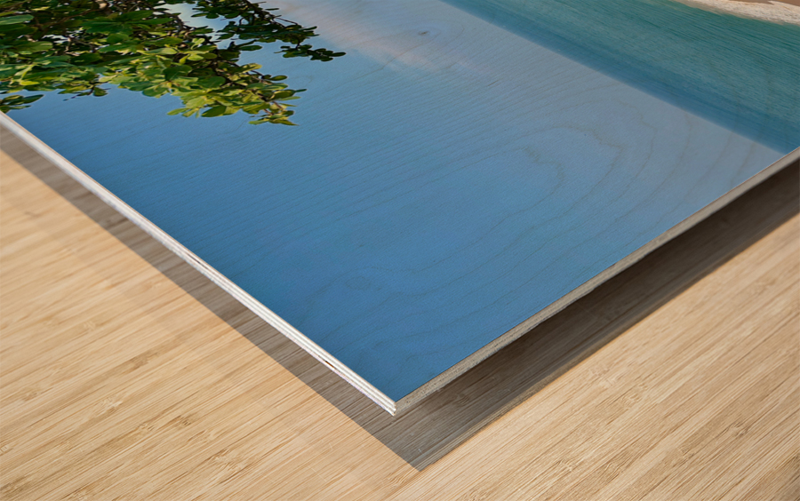 Beach from the Cliff Wood print