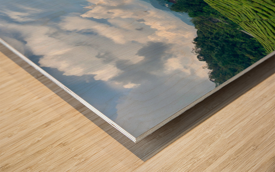 Tea Plantations 8 Wood print