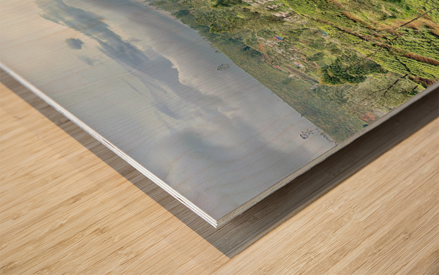 River Through the Tea Plantations Wood print