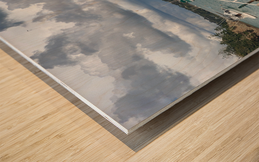 Dock Stairs Wood print