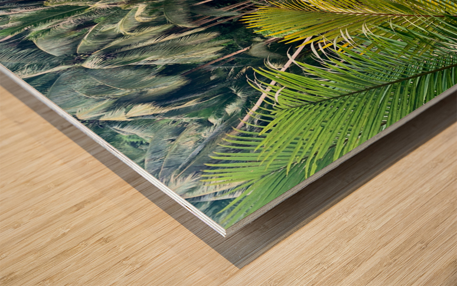 Blue Water in the Jungle Wood print