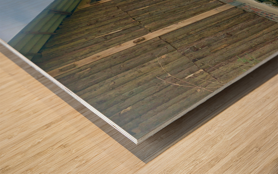 House in the Rice Fields Wood print