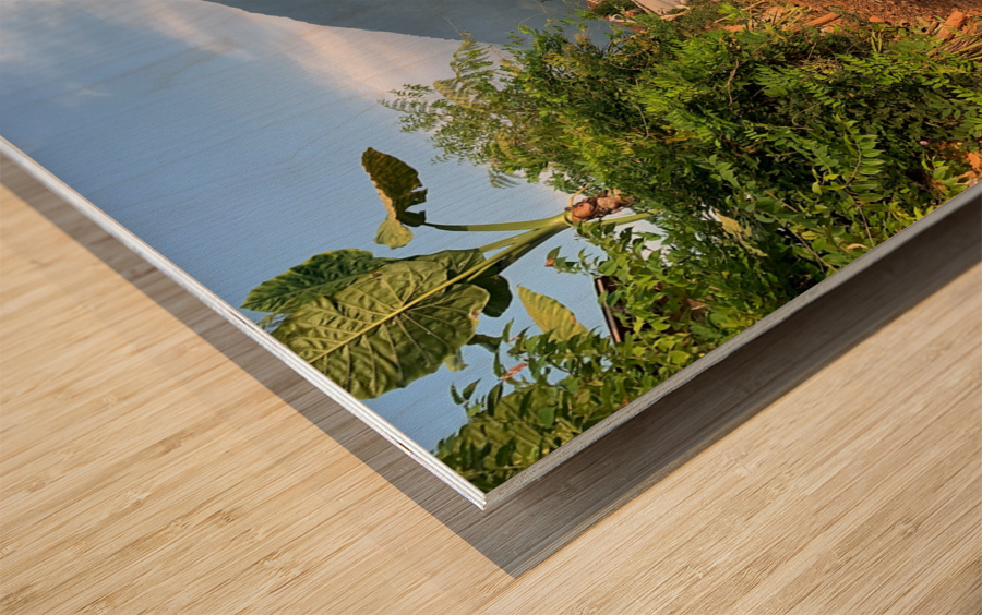 Follow The Road Wood print