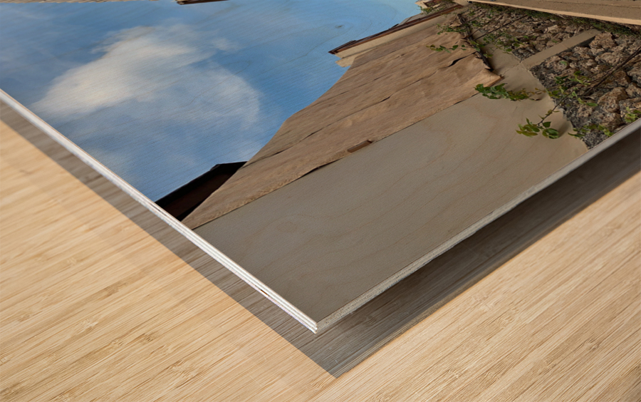 Walk up to the Sky Wood print