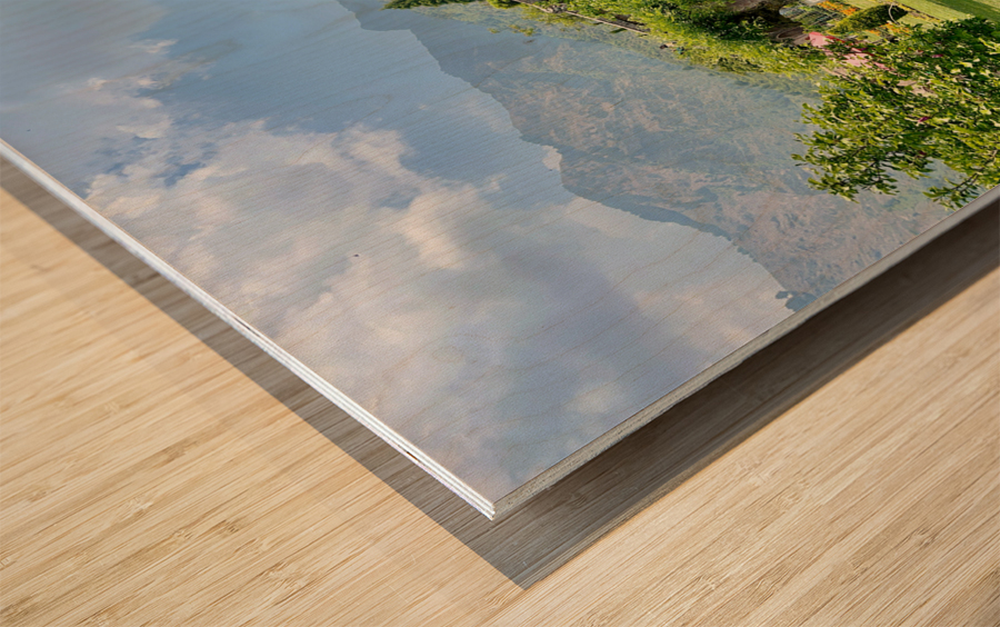 Pari Mahal Srinagar Wood print