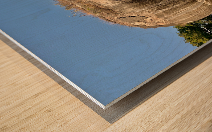 Mingun Pahtodawgyi Elephant Rock Wood print