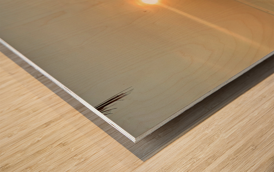 Lonely Boat at the Sunset Wood print