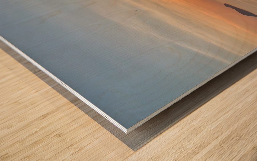 Sunlit White Big Lamp Wood print