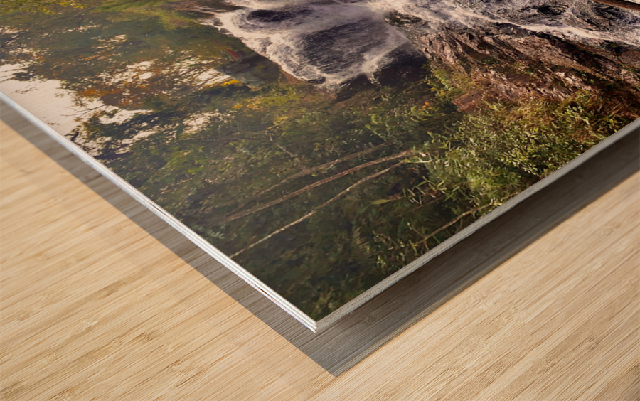 Waterfall and Red Flowers Wood print