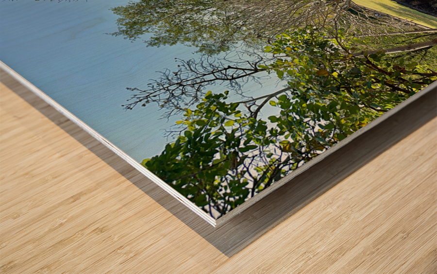 Half Wall Protection Wood print