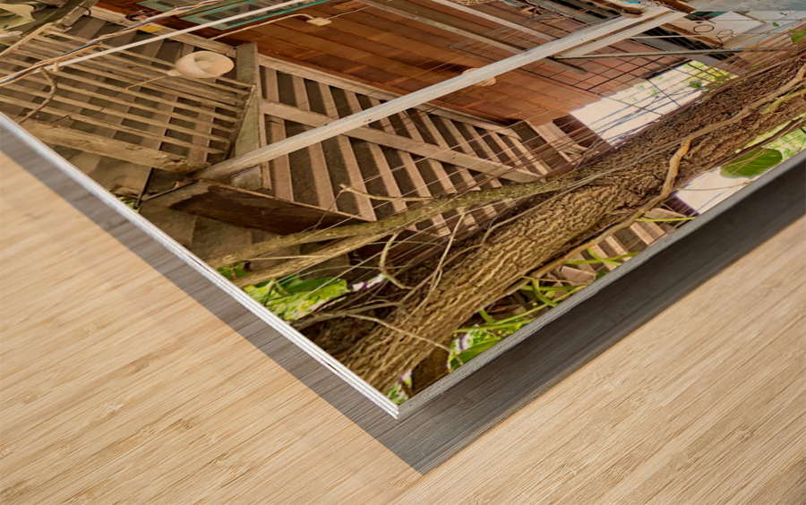 Hippie House 2 Wood print