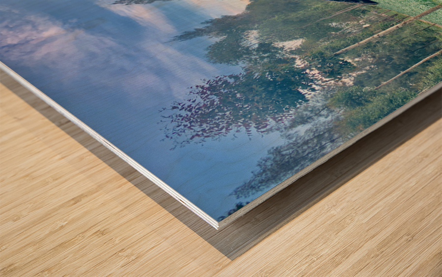 Little Cabbage House Wood print