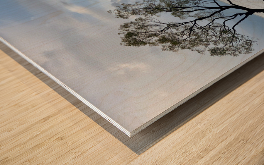 The Wanaka Tree New Zealand Wood print