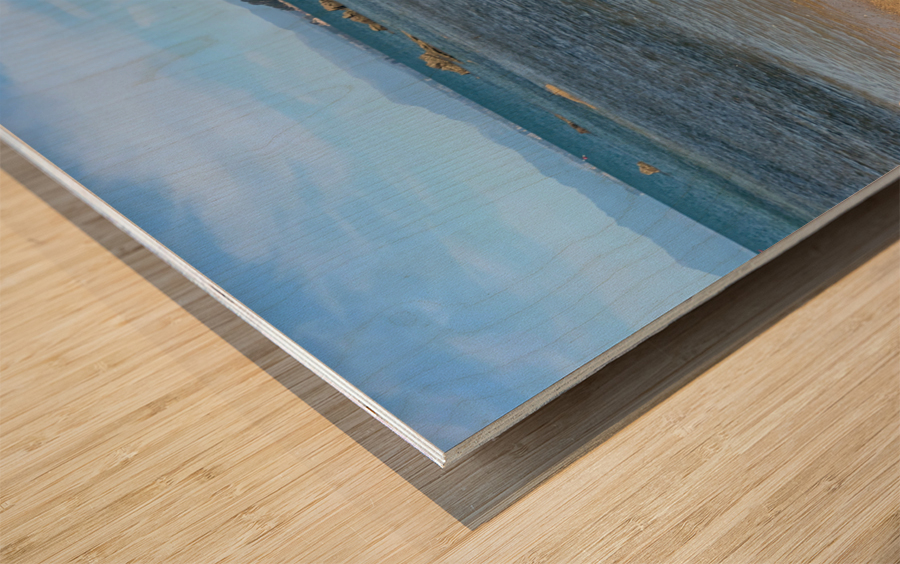 Angry Bird Wood print