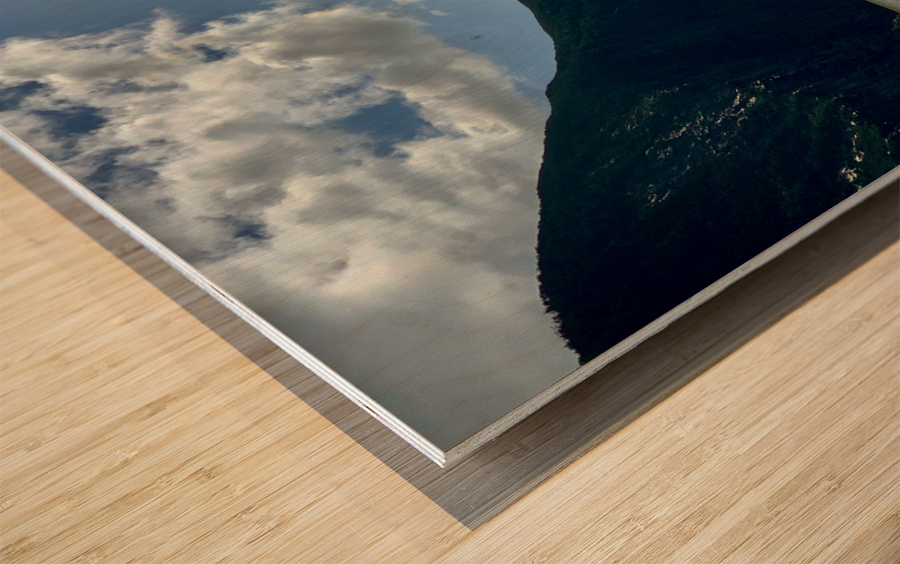 Milford Sound New Zealand 3 Wood print