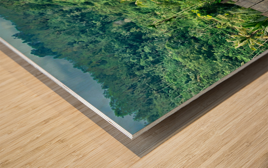 Tea Tasters Wood print