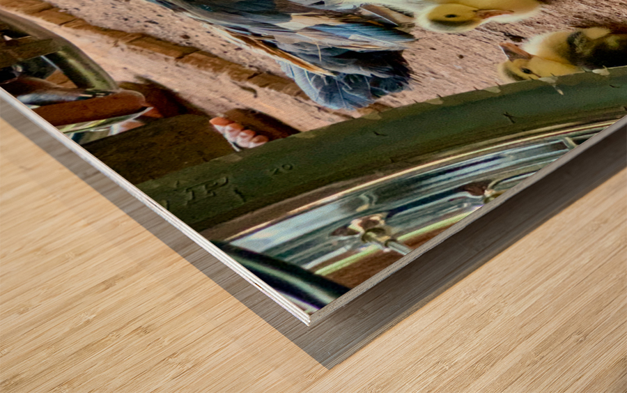 The Duck Family Wood print