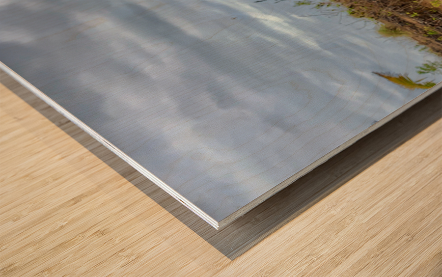 Dog in the Field Wood print