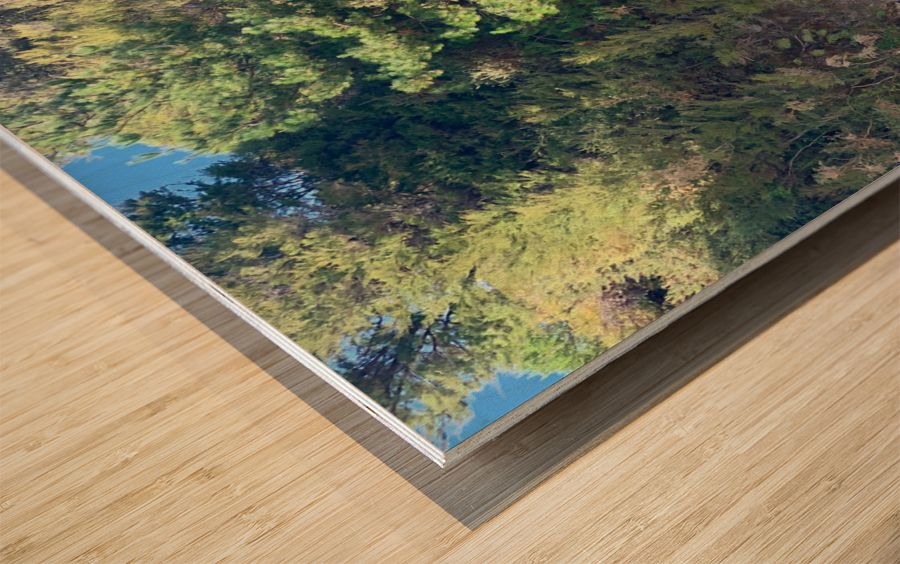 Abel Tasman National Park New Zealand 2 Wood print