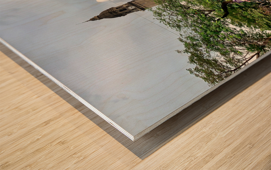 The Manila Cathedral Wood print